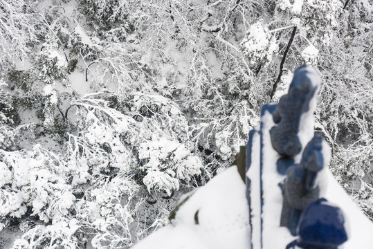 靈谷景區(qū)雪景