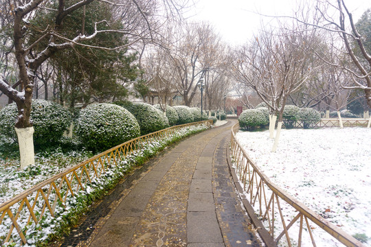 雪后的濟(jì)南趵突泉公園 （12）