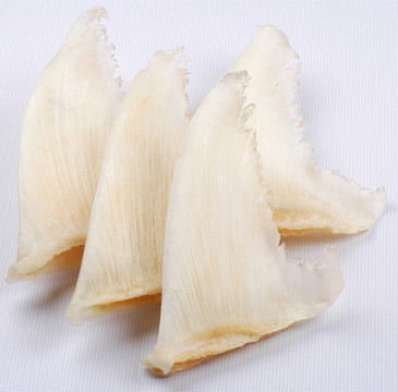 魚(yú)翅
