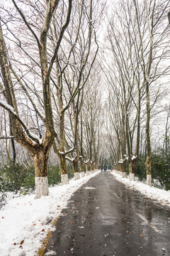 鐘山名勝風(fēng)景區(qū)道路雪景