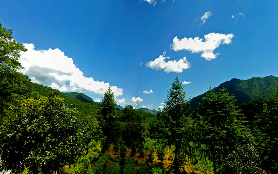 山溪村天空