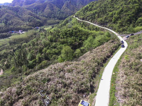 鄉(xiāng)村公路