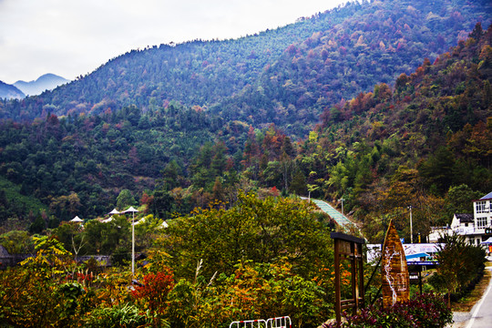 秋染山野