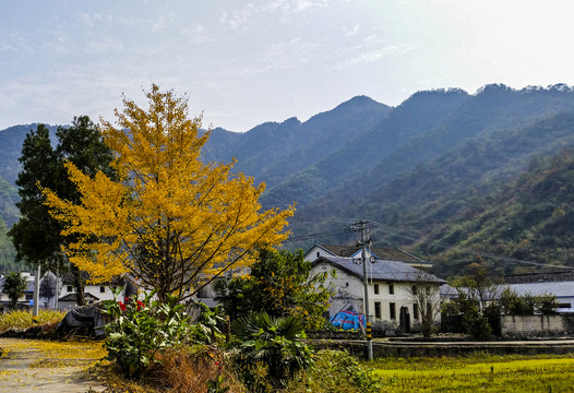 原始鄉(xiāng)村