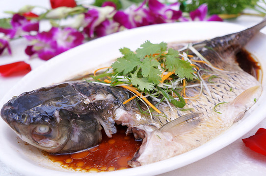 水浸魚
