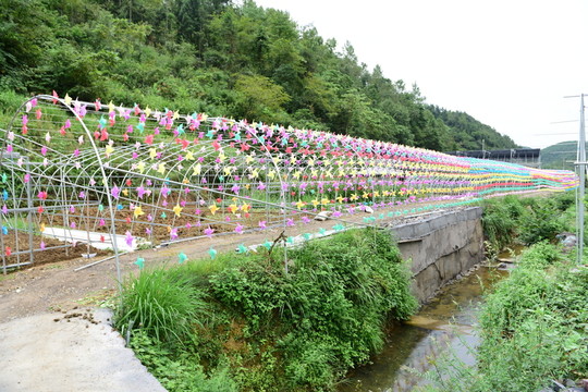 彩帶風(fēng)車