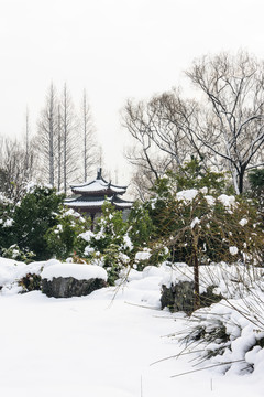 明孝陵景區(qū)雪景
