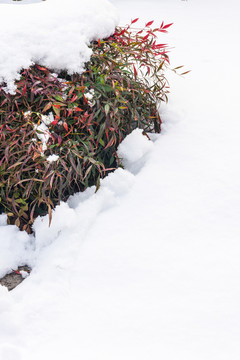 明孝陵景區(qū)雪景