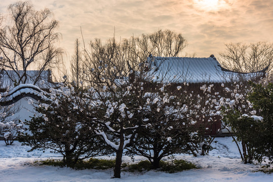 明孝陵景區(qū)雪景