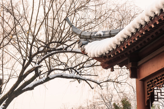 明孝陵景區(qū)雪景