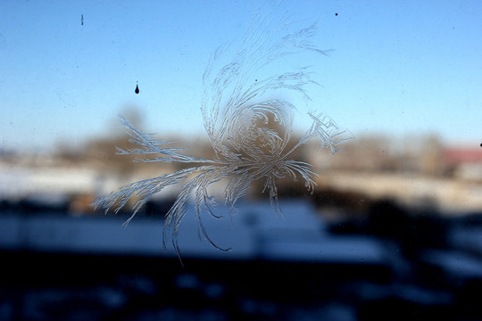 冰凌窗花 雪花霜花 冰霜 底紋