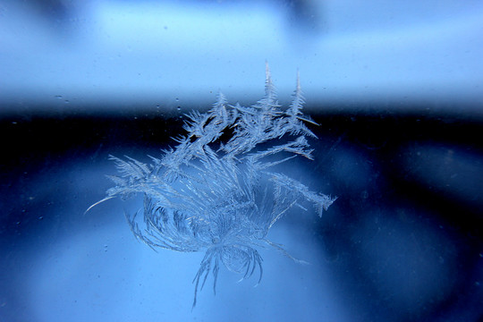 冰凌窗花 雪花霜花 冰霜 底紋