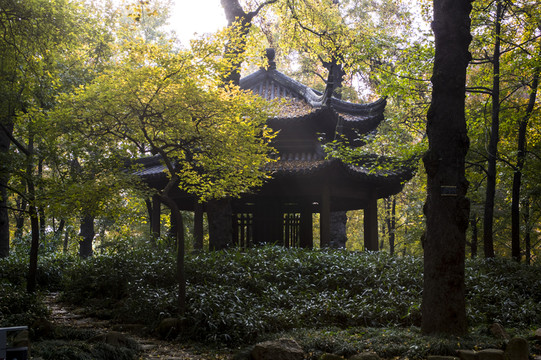 蘇州天平山