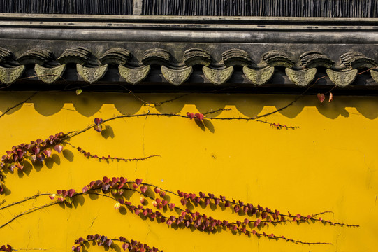 寺廟古墻