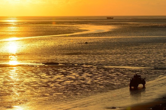 海灘日出