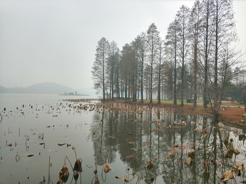武漢東湖風(fēng)景區(qū)