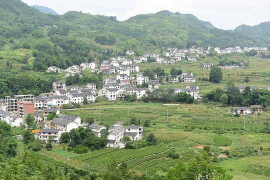 鄉(xiāng)村田園風景