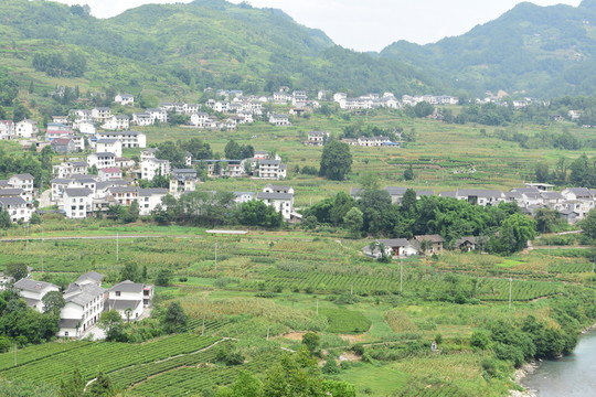 湖北恩施市麂子渡村特色民居