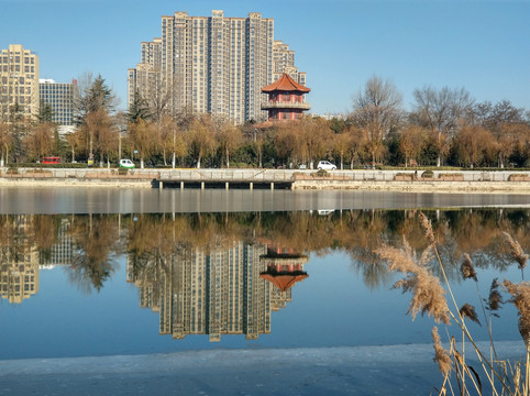 公園景觀