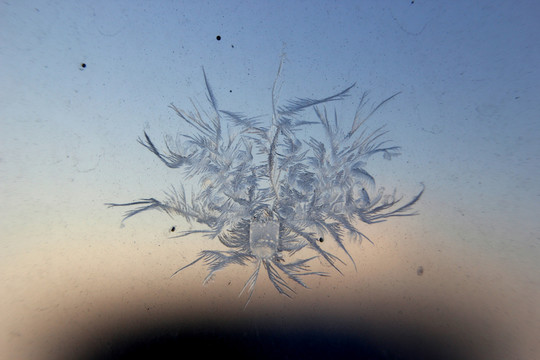 冰凌窗花 雪花霜花 冰霜 底紋