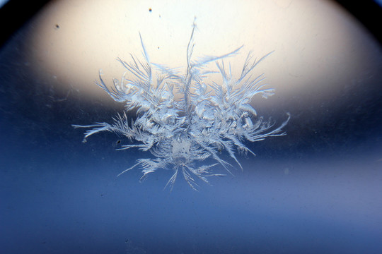 冰凌窗花 雪花霜花 冰霜 底紋