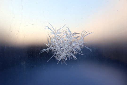 冰凌窗花 雪花霜花 冰霜 底紋