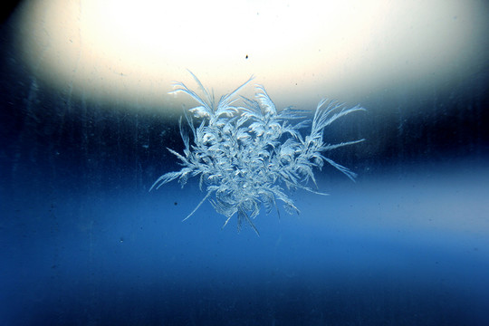 冰凌窗花 雪花霜花 冰霜 底紋