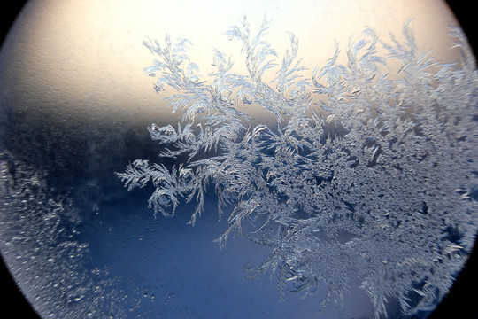 冰凌窗花 雪花霜花 冰霜 底紋