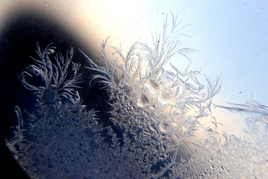 冰凌窗花 雪花霜花 冰霜 底紋
