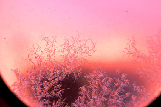 冰凌窗花 雪花霜花 冰霜 底紋