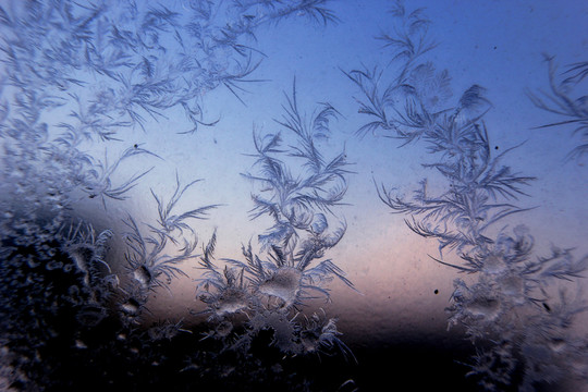 冰凌窗花 雪花霜花 冰霜 底紋