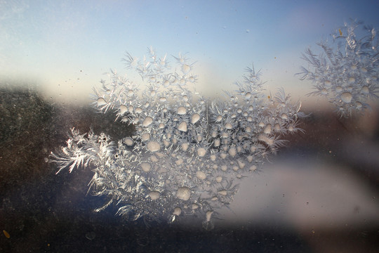 冰凌窗花 雪花霜花 冰霜 底紋