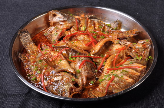 大盆桂魚