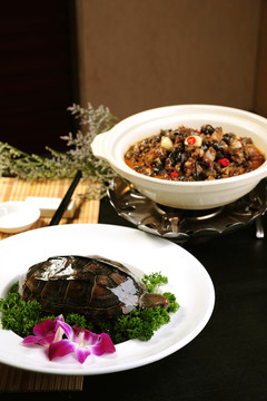 大甲魚(yú)
