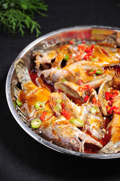 臭桂魚
