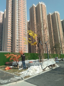 先鋒路 工人 裝扮 假花