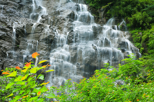 高山流水 （2）