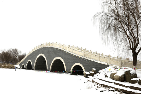 銀川海寶公園雪景
