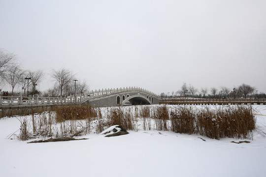 銀川景城公園雪景
