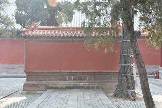 魯壁