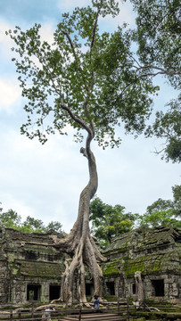 吳哥窟 塔布籠寺