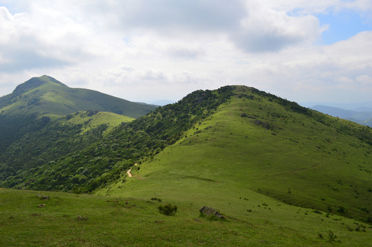 福清大姆山草場
