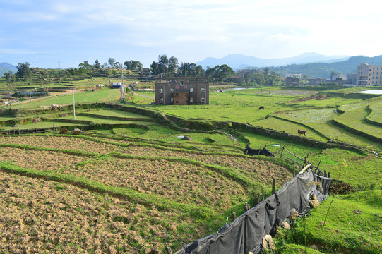 田園風光