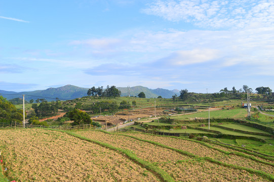 田園風(fēng)光