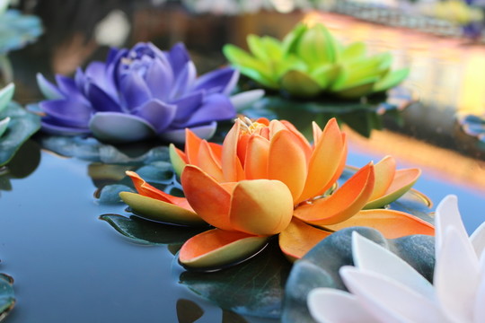蓮花