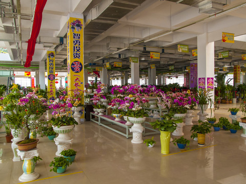 花卉市場(chǎng)