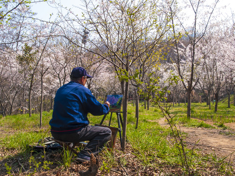 春季的青島中山公園