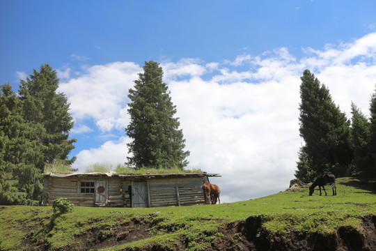 山頂木屋