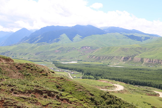 山谷盤山路