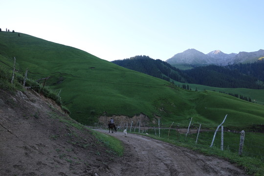 山路